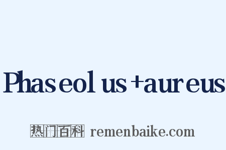 Phaseolus aureus是什么意思的图片